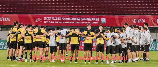 杏彩体育-世俱杯双语解说服务介绍及多语言转播优势解析