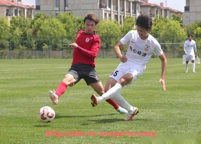 杏彩体育-法甲历年冠军一览表：自1932年至今的荣耀演变