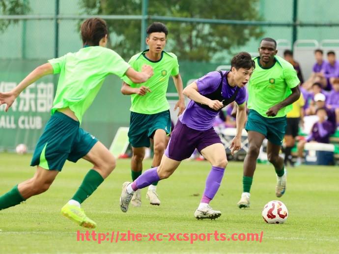 杏彩体育-美国NBA火箭队现状及未来发展分析