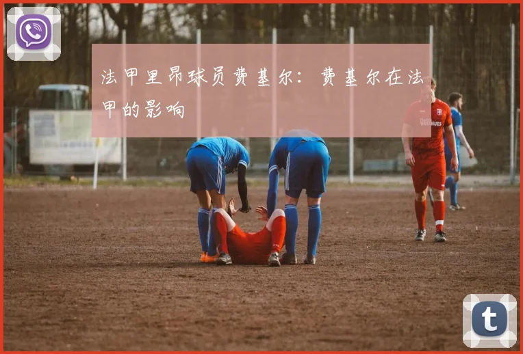 法甲里昂球员费基尔：费基尔在法甲的影响