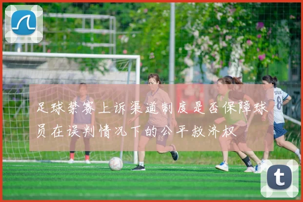 足球禁赛上诉渠道制度是否保障球员在误判情况下的公平救济权